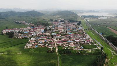 辽宁致敬,领导与同胞的深情凝聚