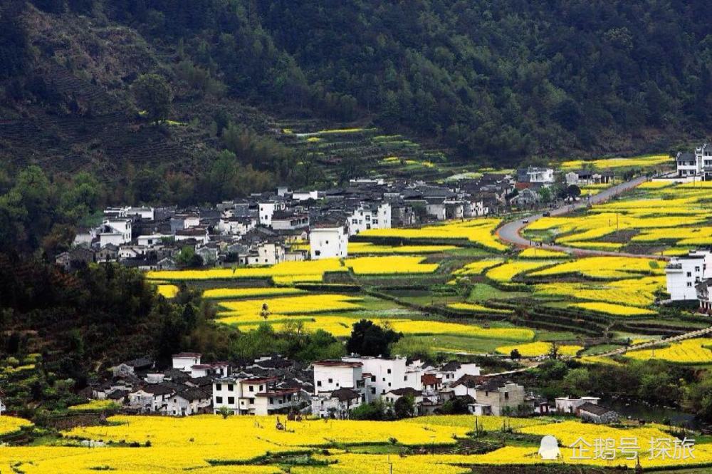 红色摇篮,绿色江西——红色故土,绿色家园