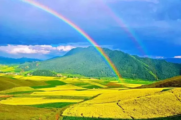 青海探秘,高原之美的神秘旅程