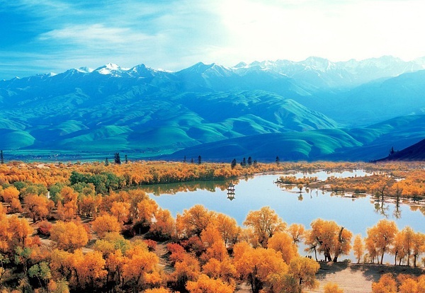 新疆,秘境之美与无限商机探索