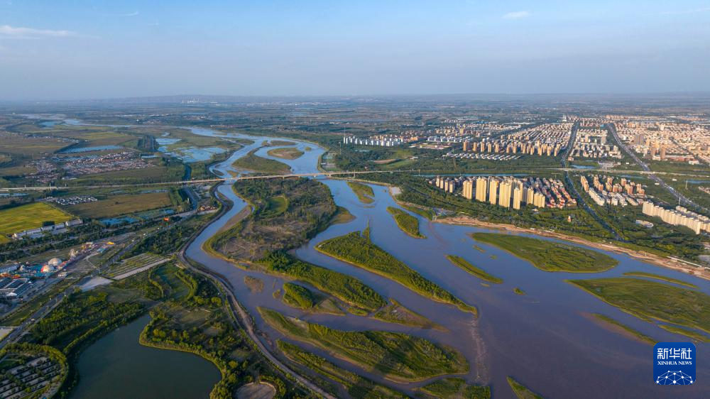 宁夏深巷中的味蕾秘境，揭秘宁夏隐藏的美食花园