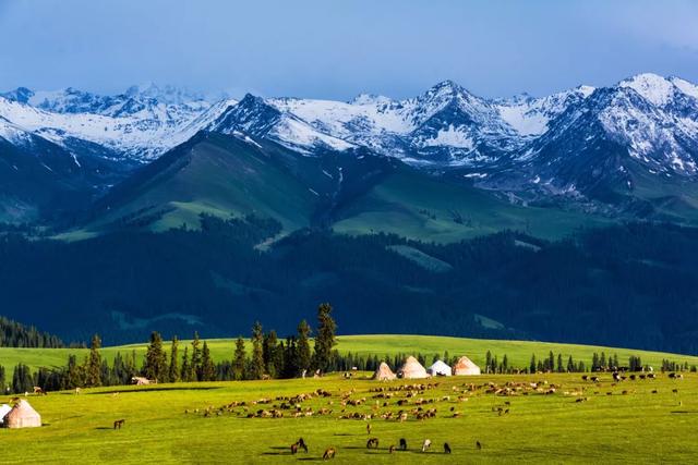 新疆小巷深处的隐藏美食秘境探秘